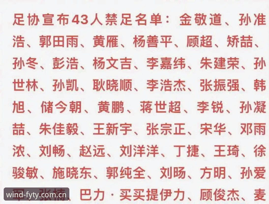 风云体育iOS下载功能详解 足协第三批禁足名单详解:65人受罚,行业整顿再升级